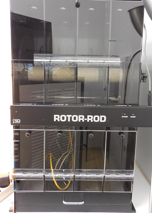 Rotor-Rod