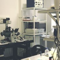 Лаборатория репродуктивных технологий